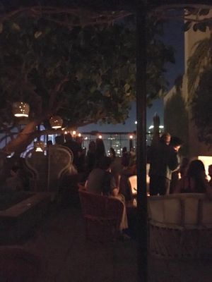 DTLA Nights🍸
