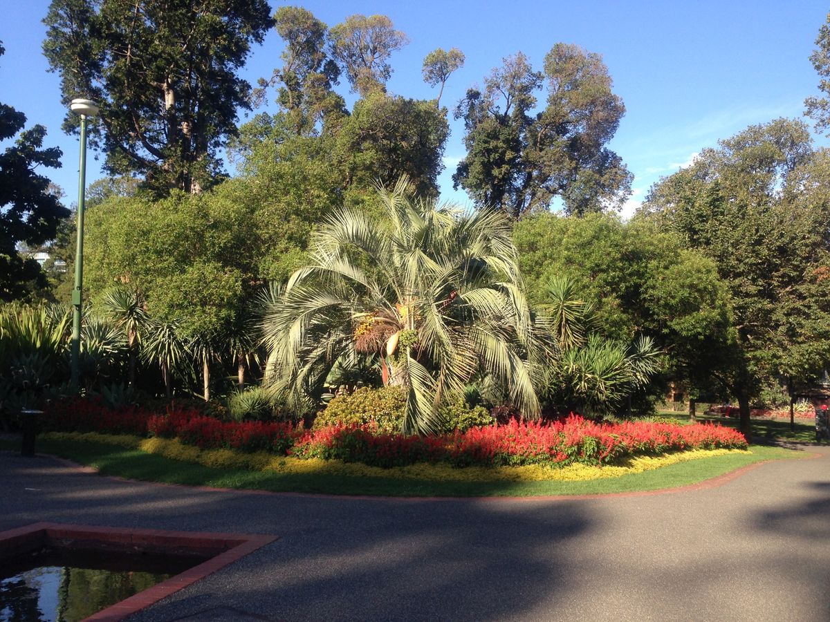 素敵なガーデン