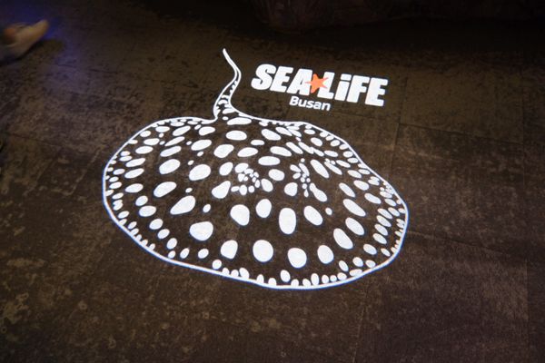 大韓民国 (韓国)・釜山「釜山女子旅」の写真