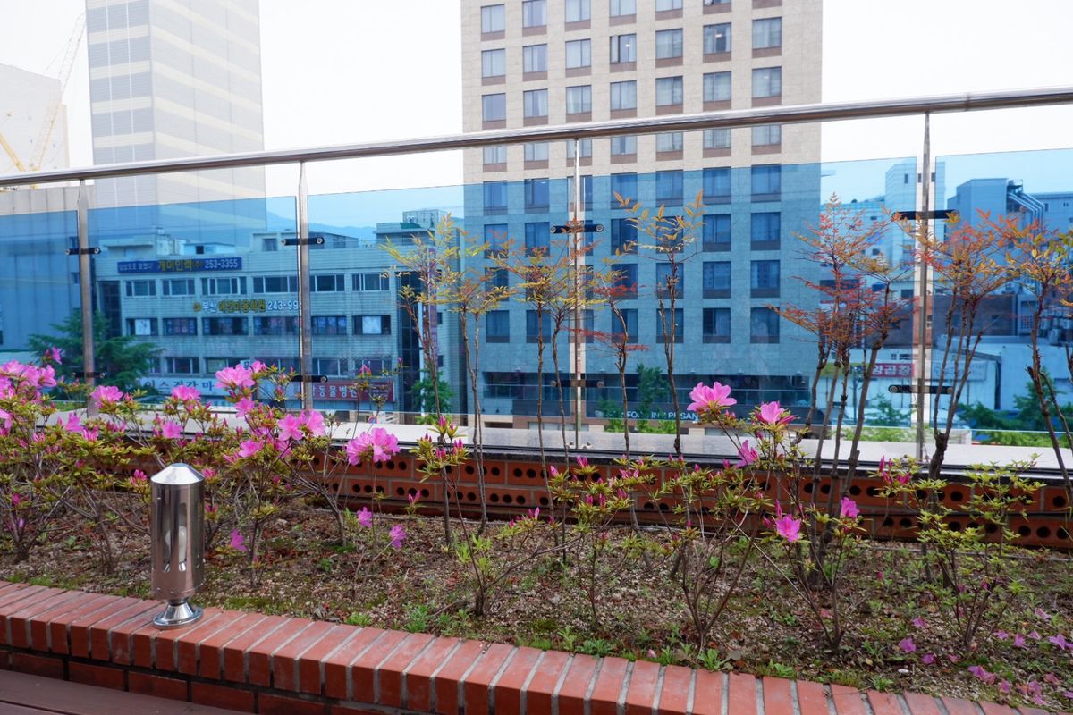 ホテルきれいだったー
釜山といえばシアホットク