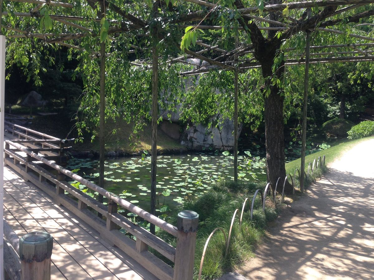 着物を着てゆっくりと歩きながらグリーンを堪能