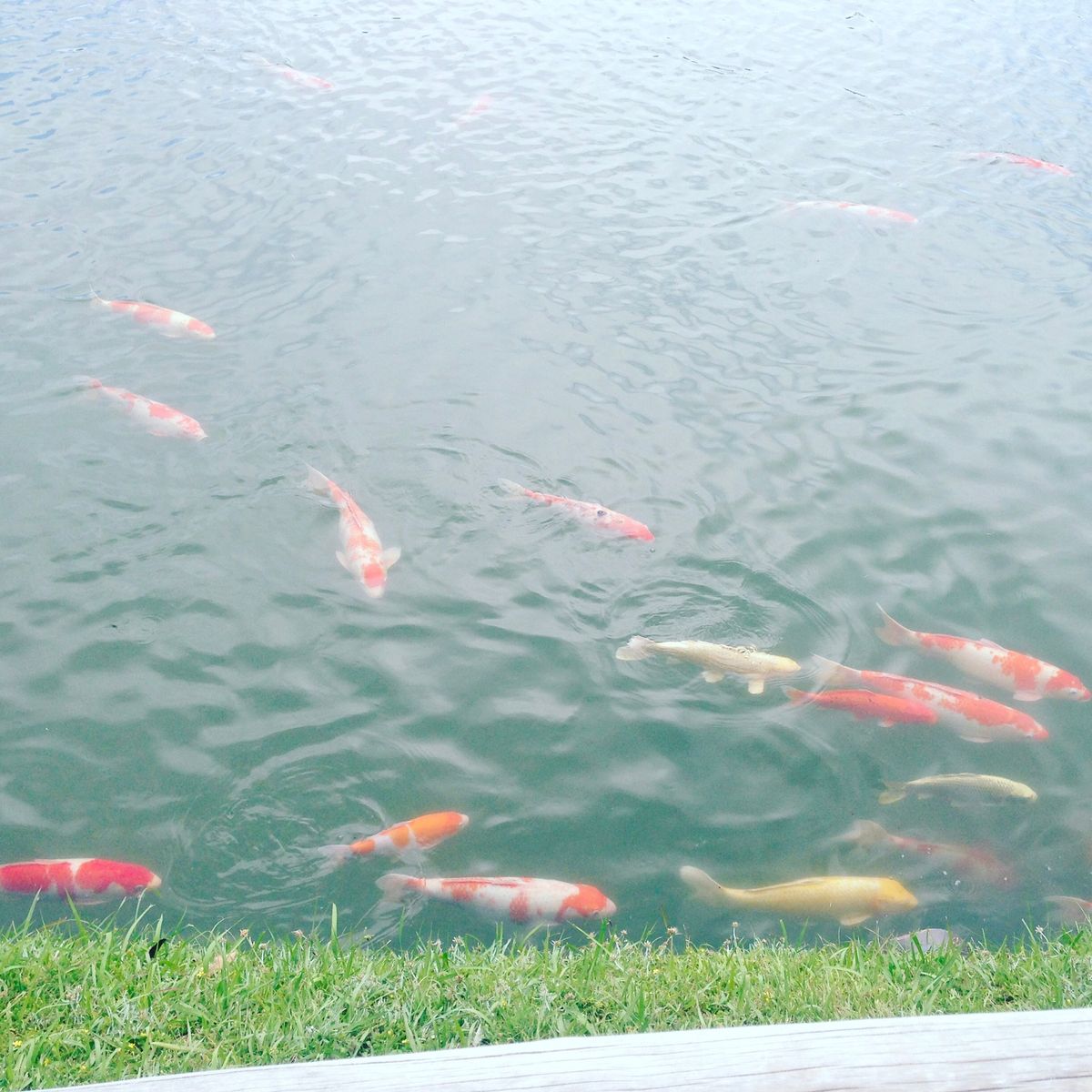 1日ゆっくりしたいなって思いました