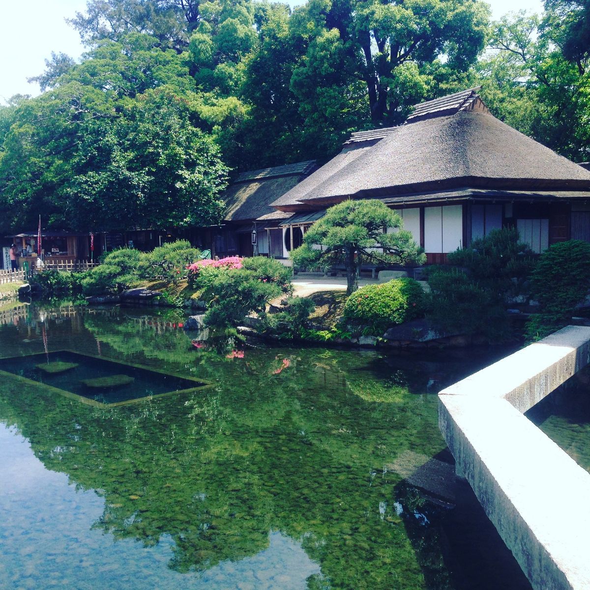 着物を着てゆっくりと歩きながらグリーンを堪能