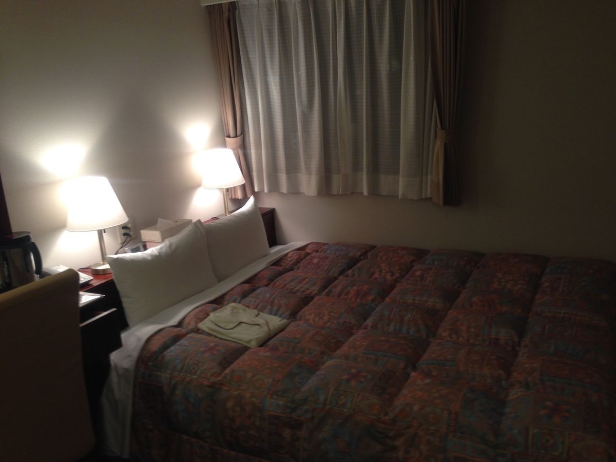 ホテルは外国人ばっかりでした
それでもリーズナブルで設備も満足！