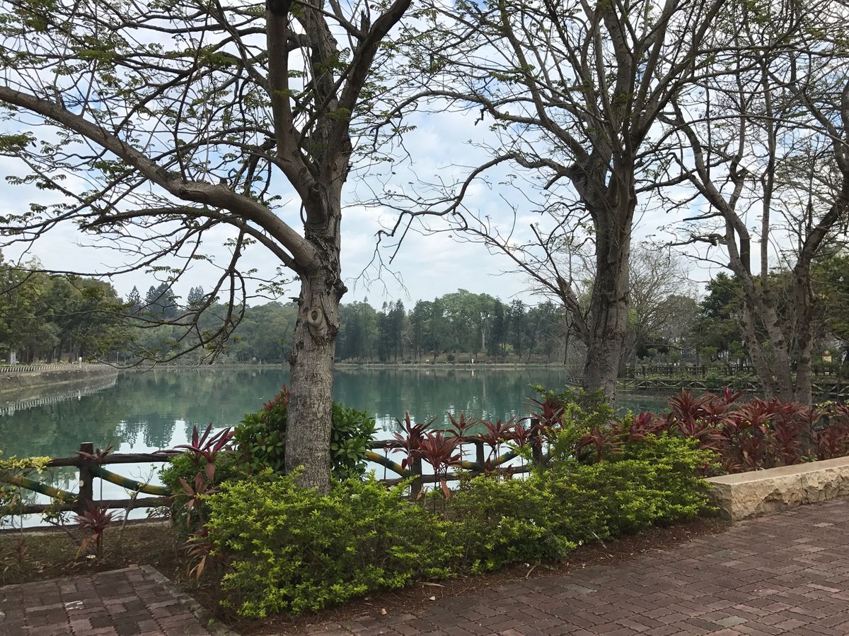 素敵な公園でとっても楽しみました！