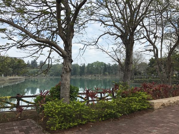台湾「台湾」の写真：素敵な公園でとっても楽しみました！