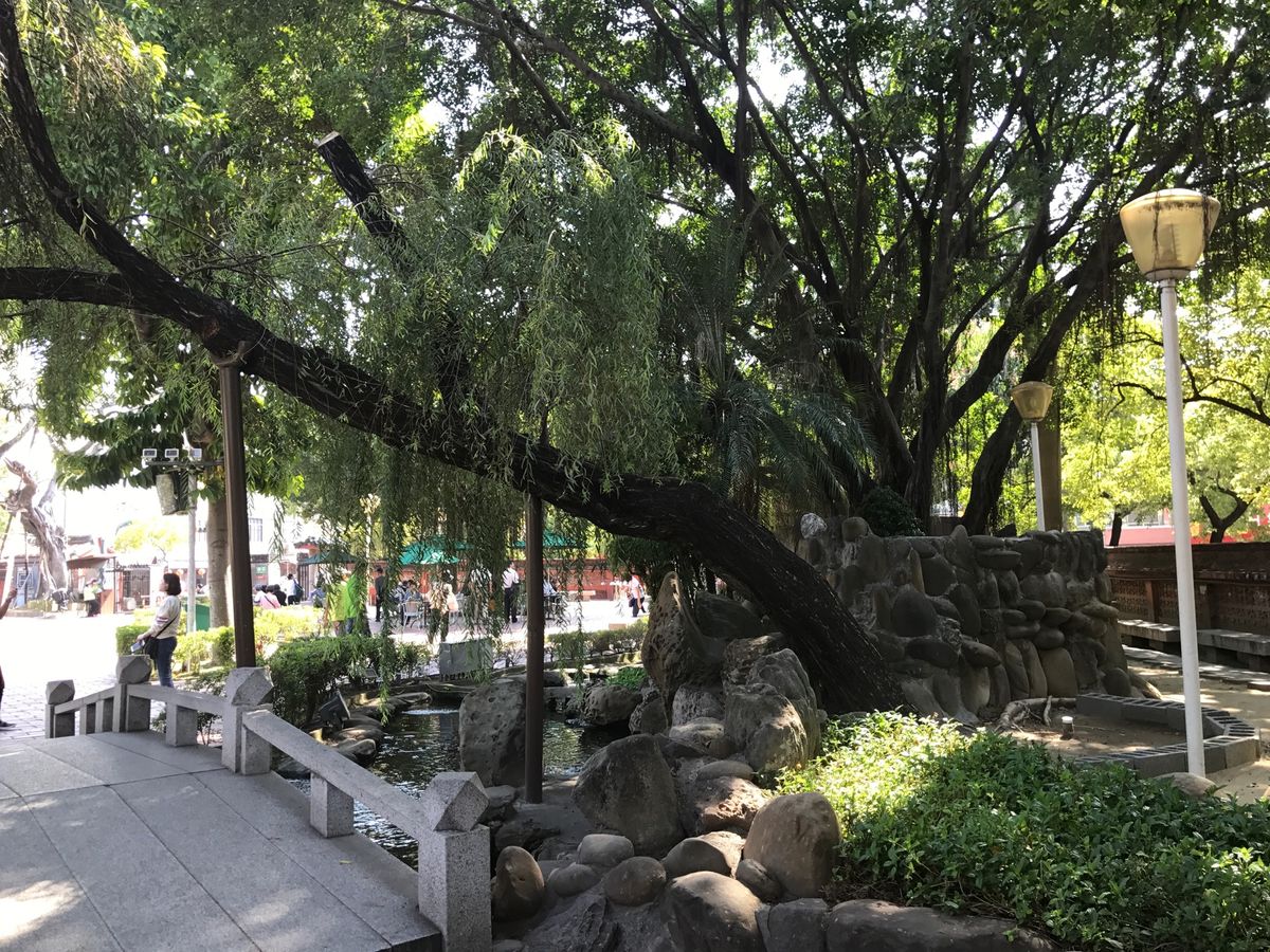 素敵な公園でタピオカも楽しみました