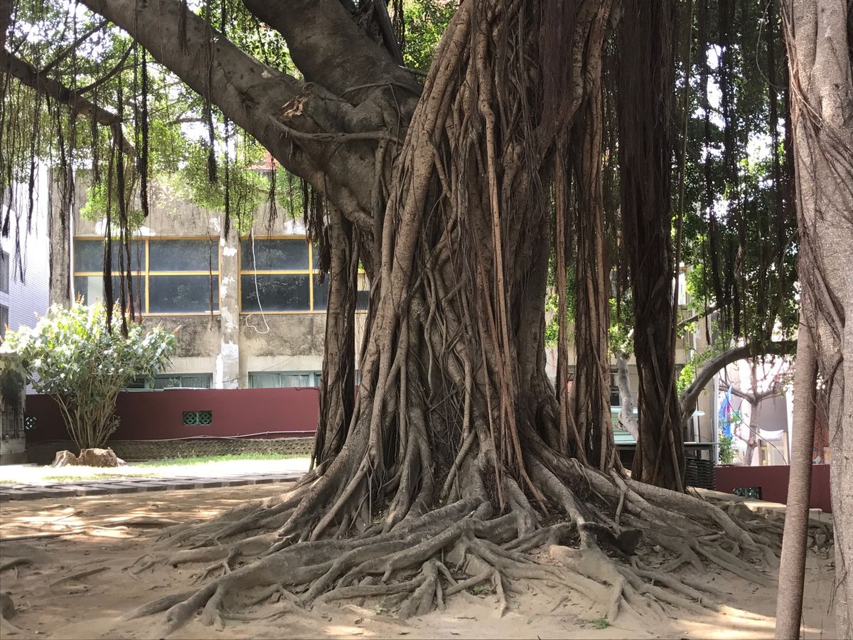 楽しめました！