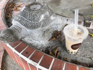 建物の中も