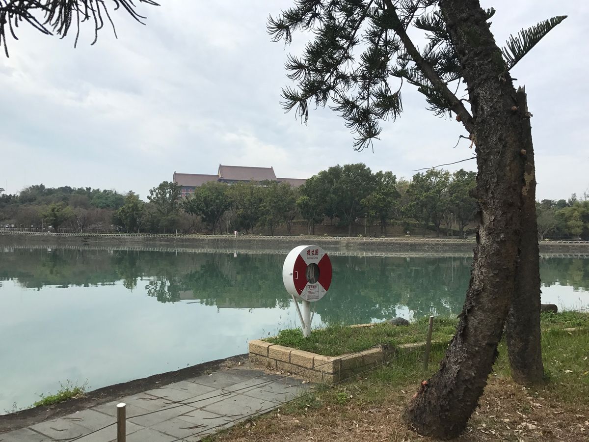 とっても綺麗でした