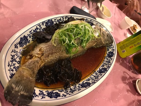 台湾「台湾」の写真：台湾料理久しぶりに楽しみました