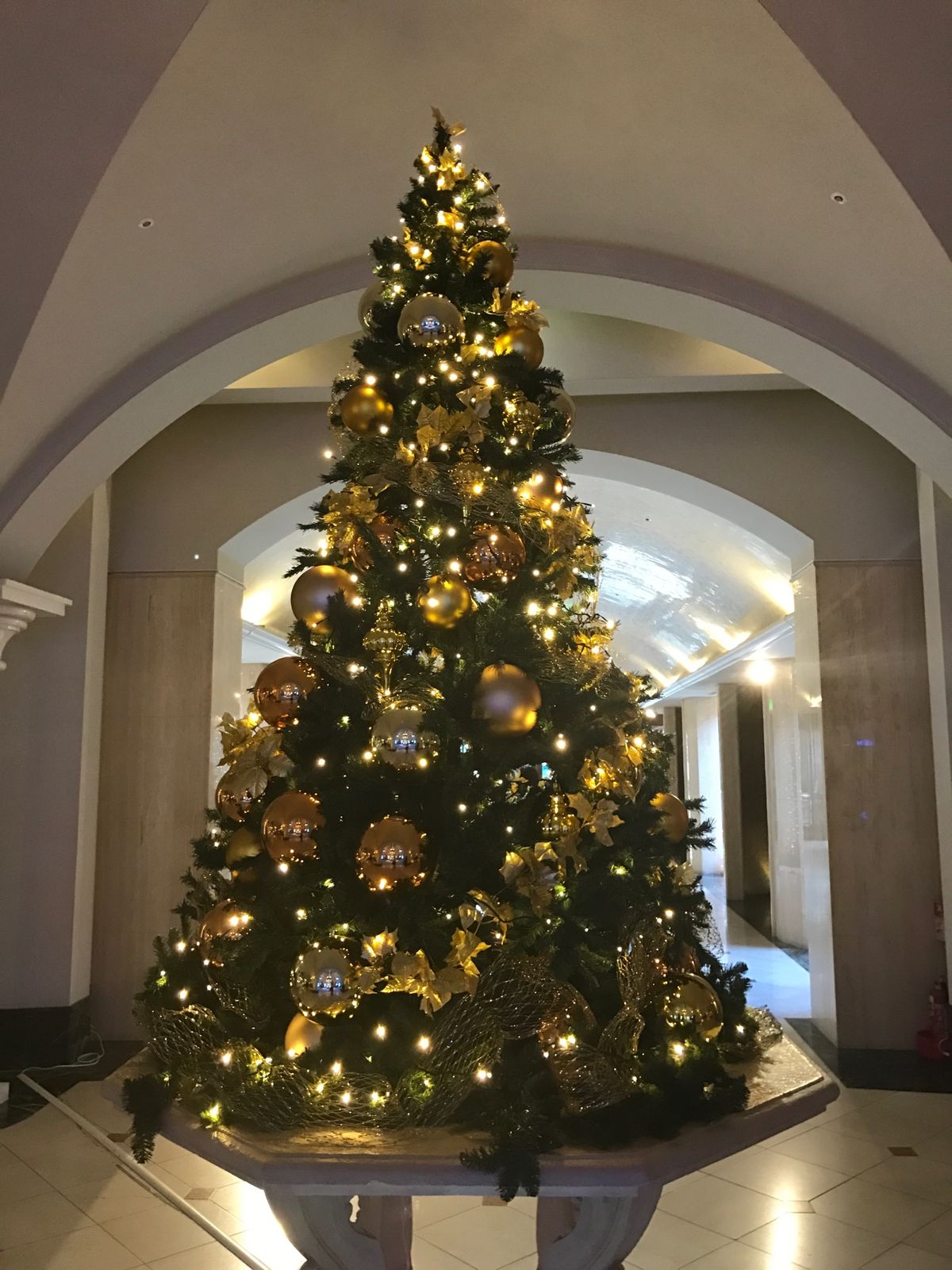 大好きな明菜ちゃんのディナーショー❣️