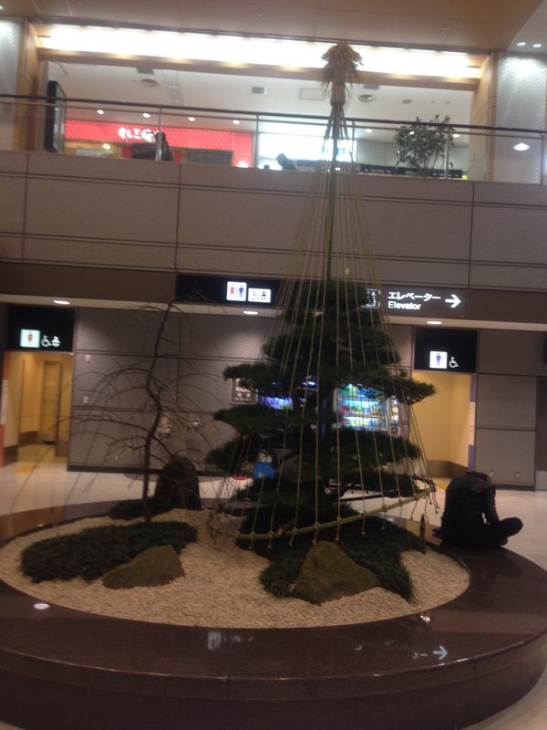 アメリカ(米国)「ハワイ」の写真：機内食と羽田空港