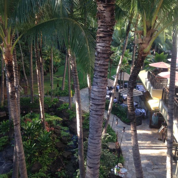 アメリカ(米国)「ハワイ」の写真：ロイヤルハワイアンセンター