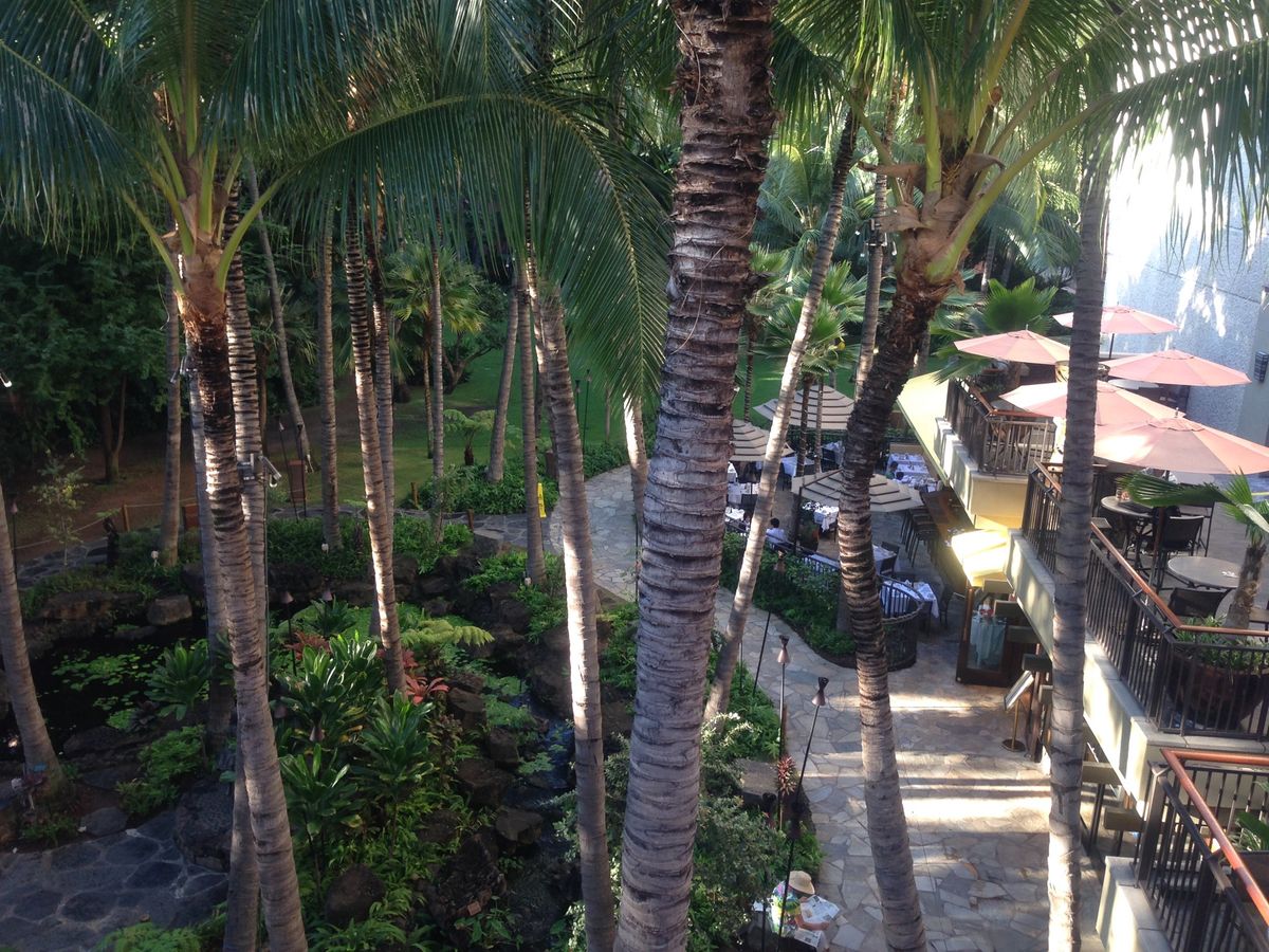 ロイヤルハワイアンセンター広くてビックリ‼️