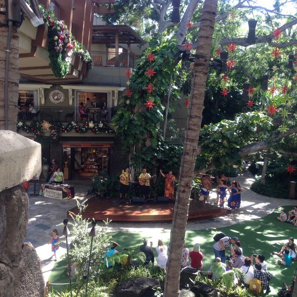 アメリカ(米国)「ハワイ」の写真：バスツアーの様子