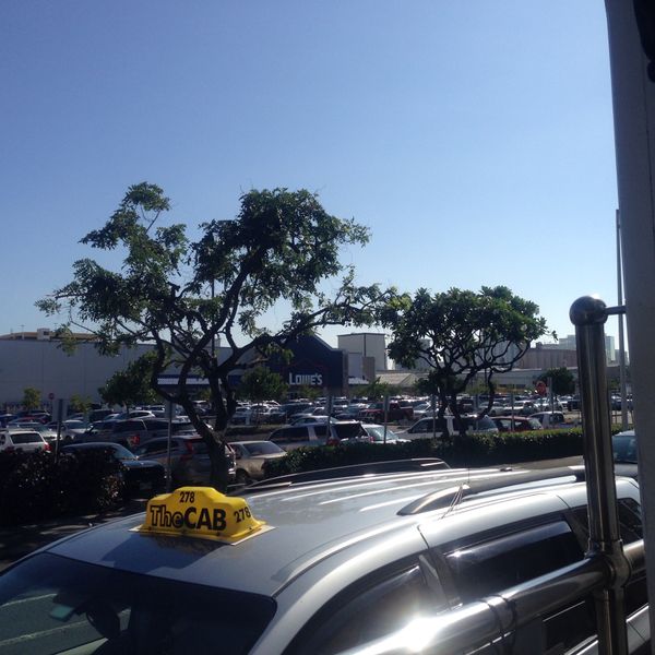 アメリカ(米国)「ハワイ」の写真：バスツアー