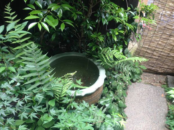 日本「道後」の写真：撮影前にお洒落なカフェでランチ