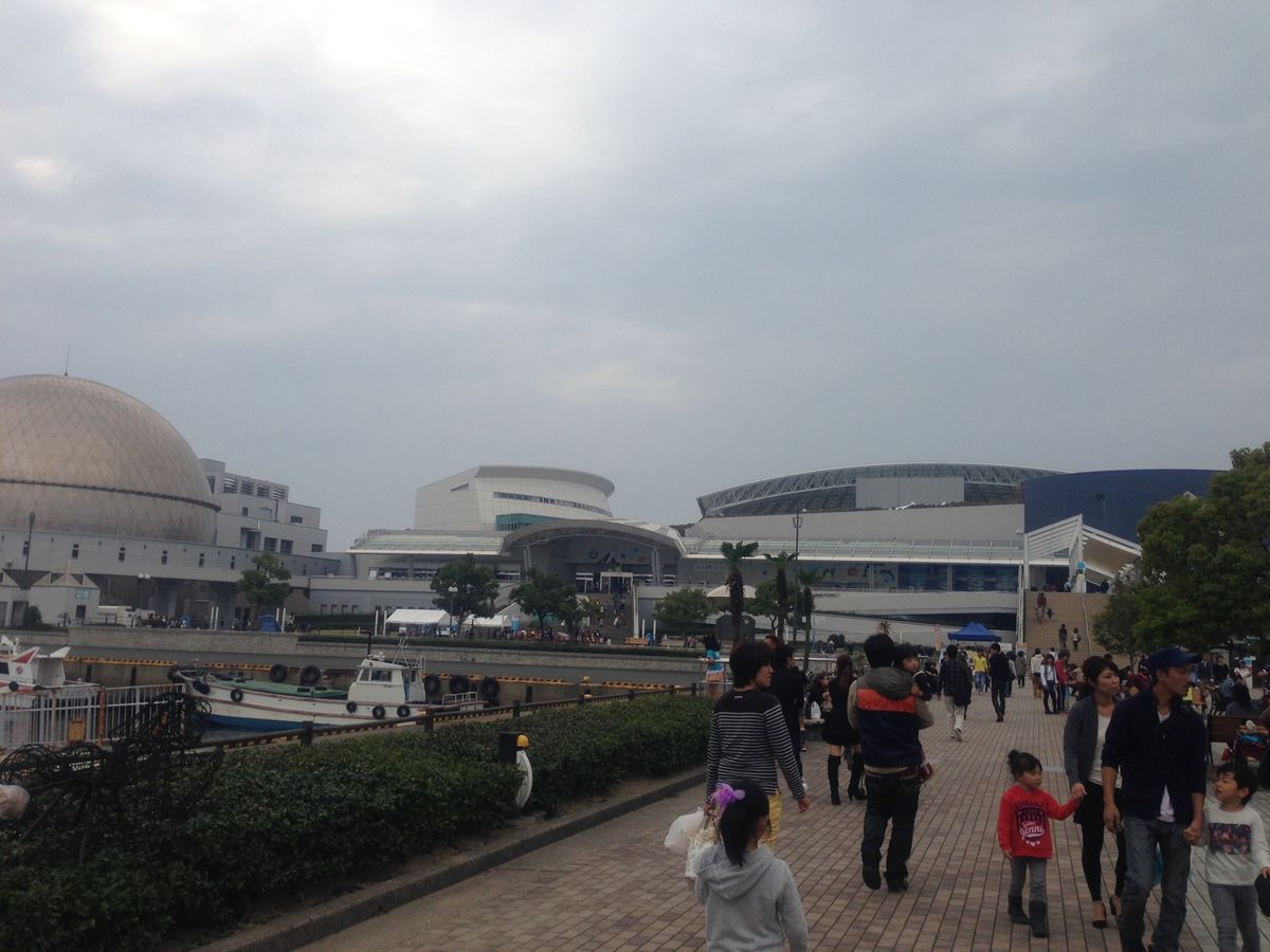 水族館にも行って来ました