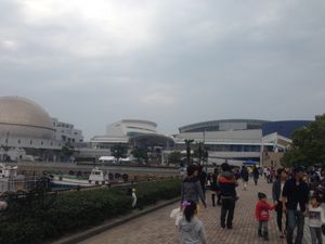 水族館にも行って来ました