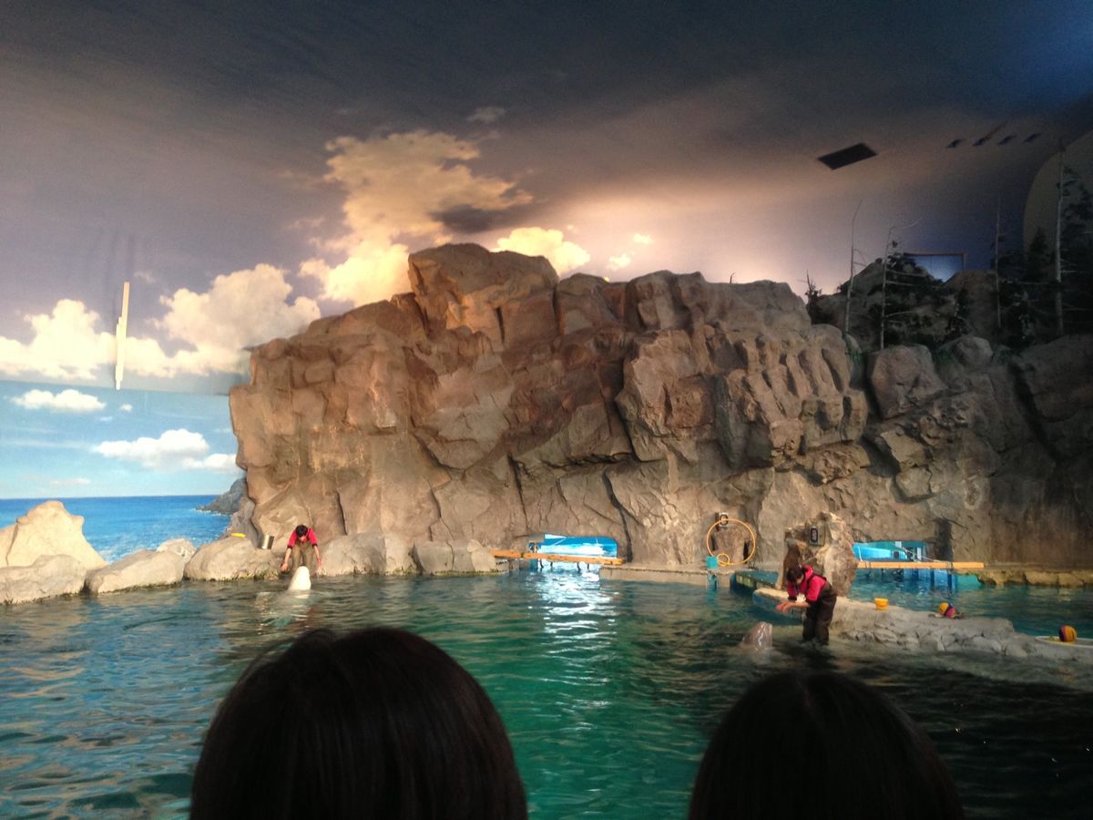 水族館にも行って来ました
