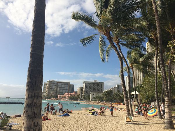 アメリカ(米国)・ハワイ「ハワイ家族旅行」の写真