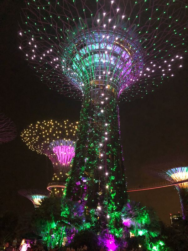 シンガポール・シンガポール「シンガポール」の写真