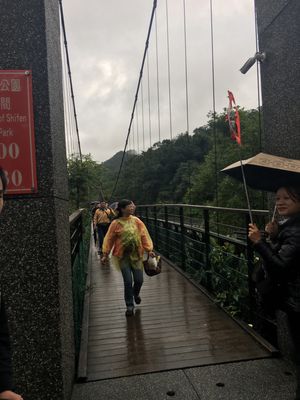 十份。
