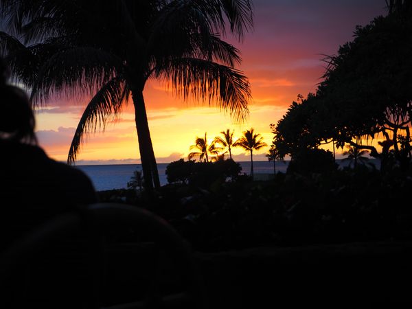 アメリカ(米国)・ハワイ「ハワイ家族旅行2015」の写真