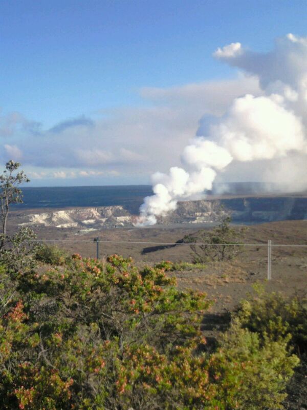 アメリカ(米国)・ハワイ「ハワイ新婚旅行2010」の写真
