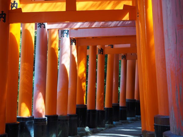 日本・京都「京都旅行2016」の写真