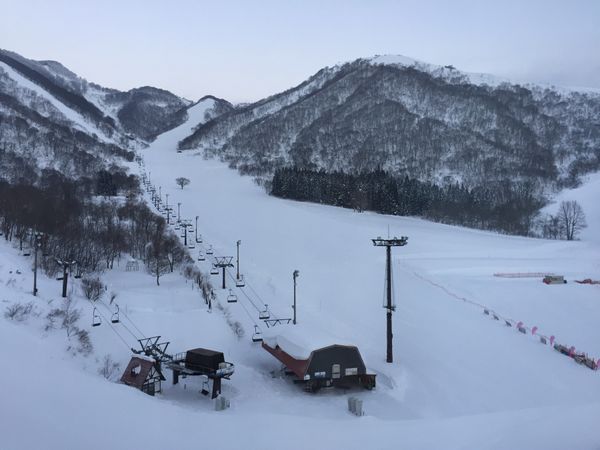 日本・白馬「白馬スキー旅行2017」の写真