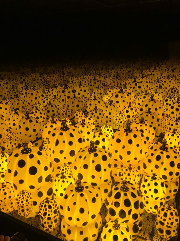 日本・東京「2019  東京」の写真