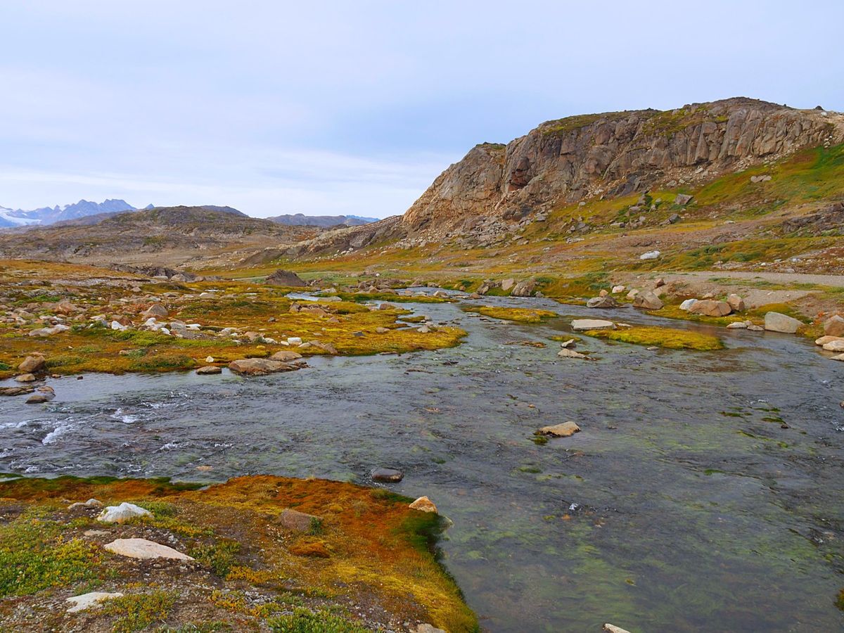 ボートで氷河を見に行ったあとは、ジープで山に向かいます。
これらのミニツア...