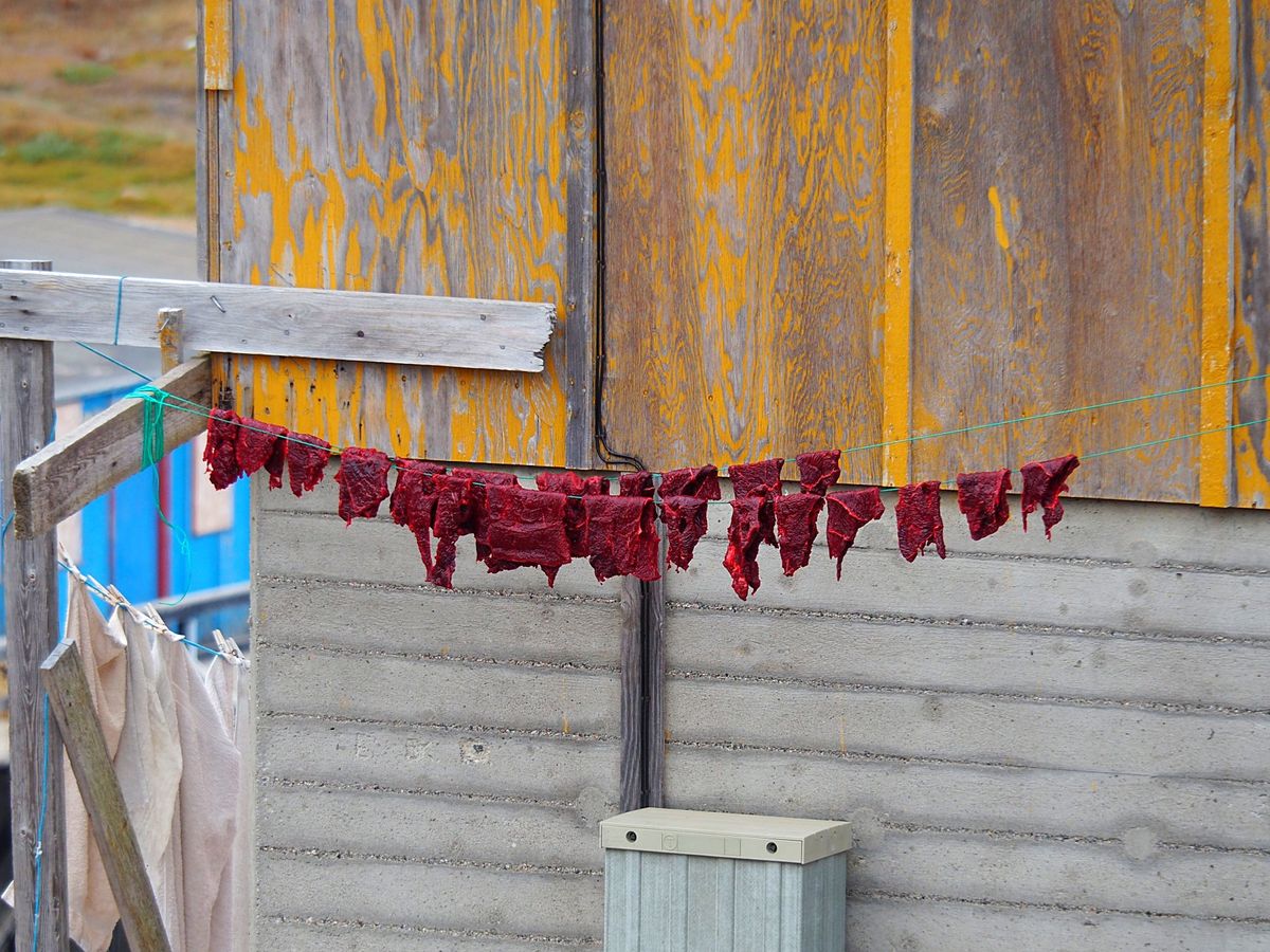 タシーラクの町を探索
タシーラクはグリーンランド東岸最大の町、と言っても人...