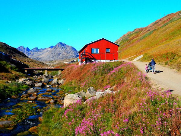 グリーンランド・グリーンランド「グリーンランド　流氷とオーロラの待つ圧巻の大自然へ」の写真：グリーンランドでのトレッキング
ホテルの...