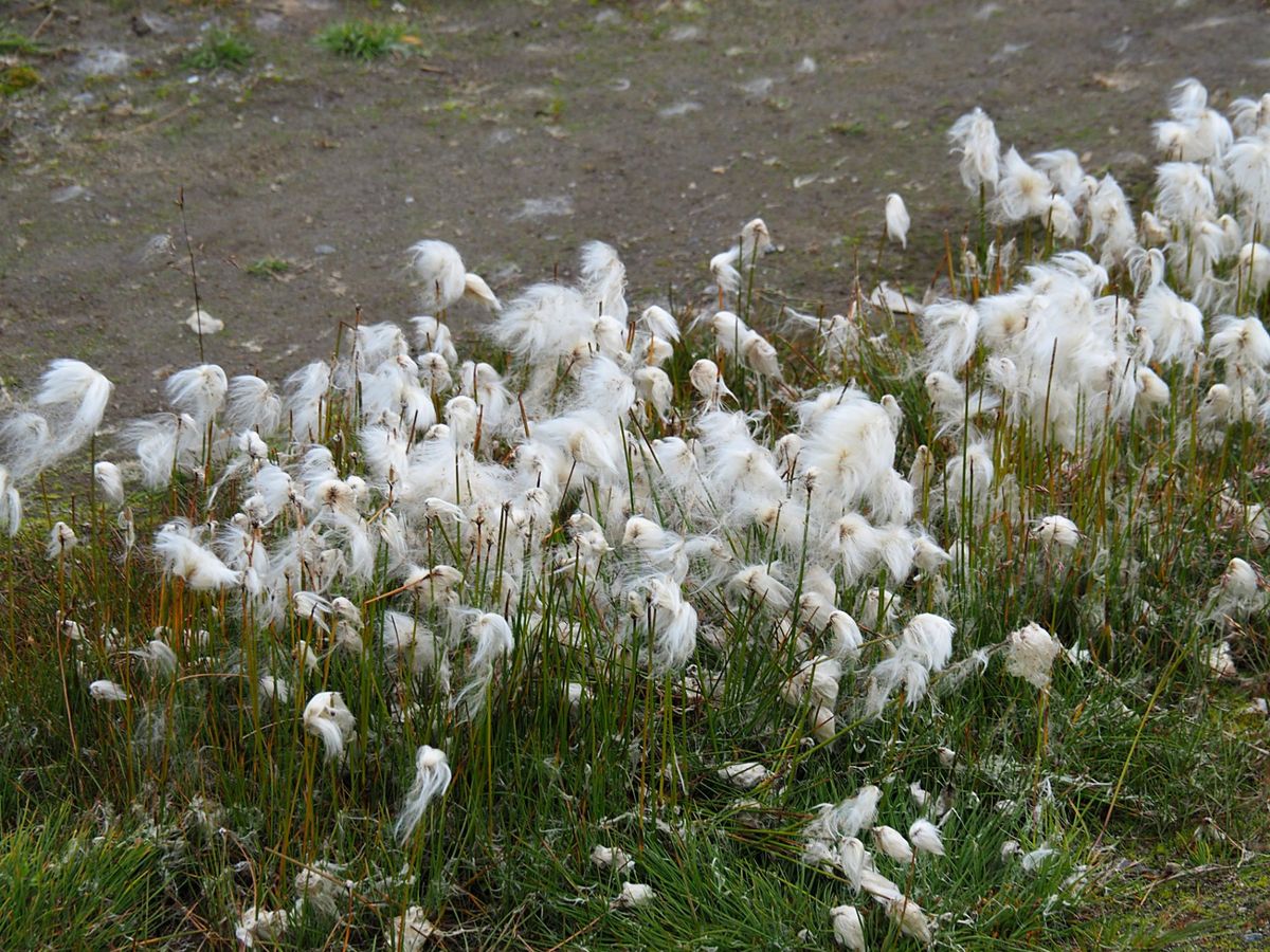 ボートで氷河を見に行ったあとは、ジープで山に向かいます。
これらのミニツア...