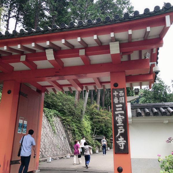 日本・京都「日帰り宇治①  三室戸寺」の写真