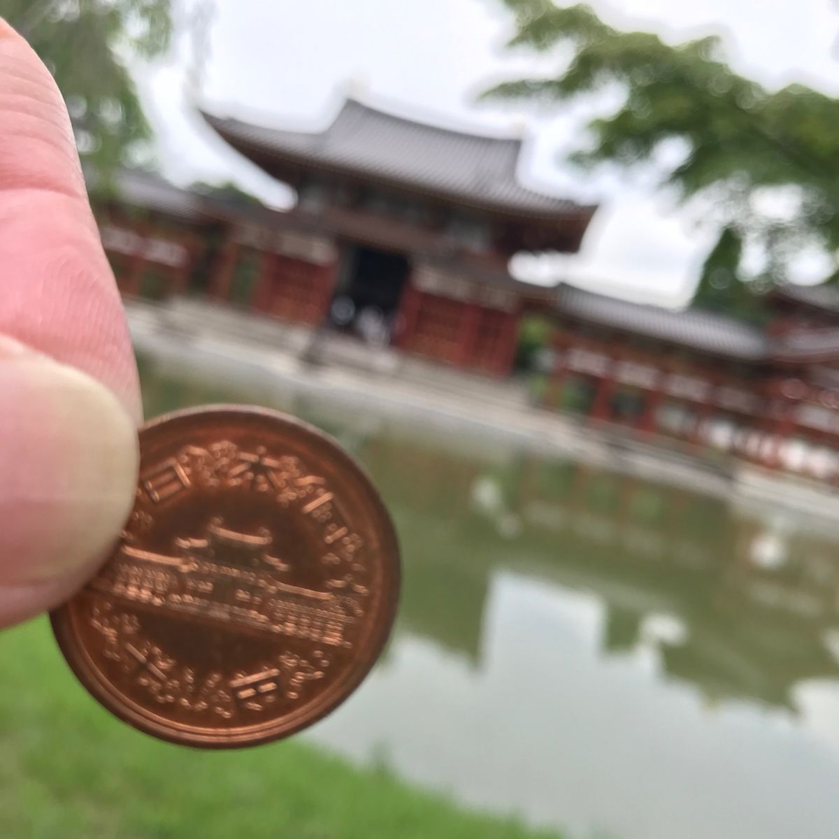 からのぉ、ちょこっと足を伸ばして平等院鳳凰堂へ。