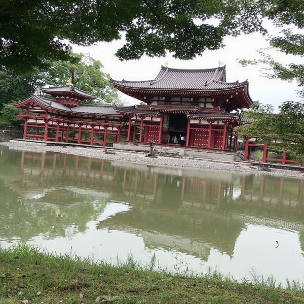 日本・京都「日帰り宇治①  三室戸寺」の写真：からのぉ、ちょこっと足を伸ばして平等院鳳...
