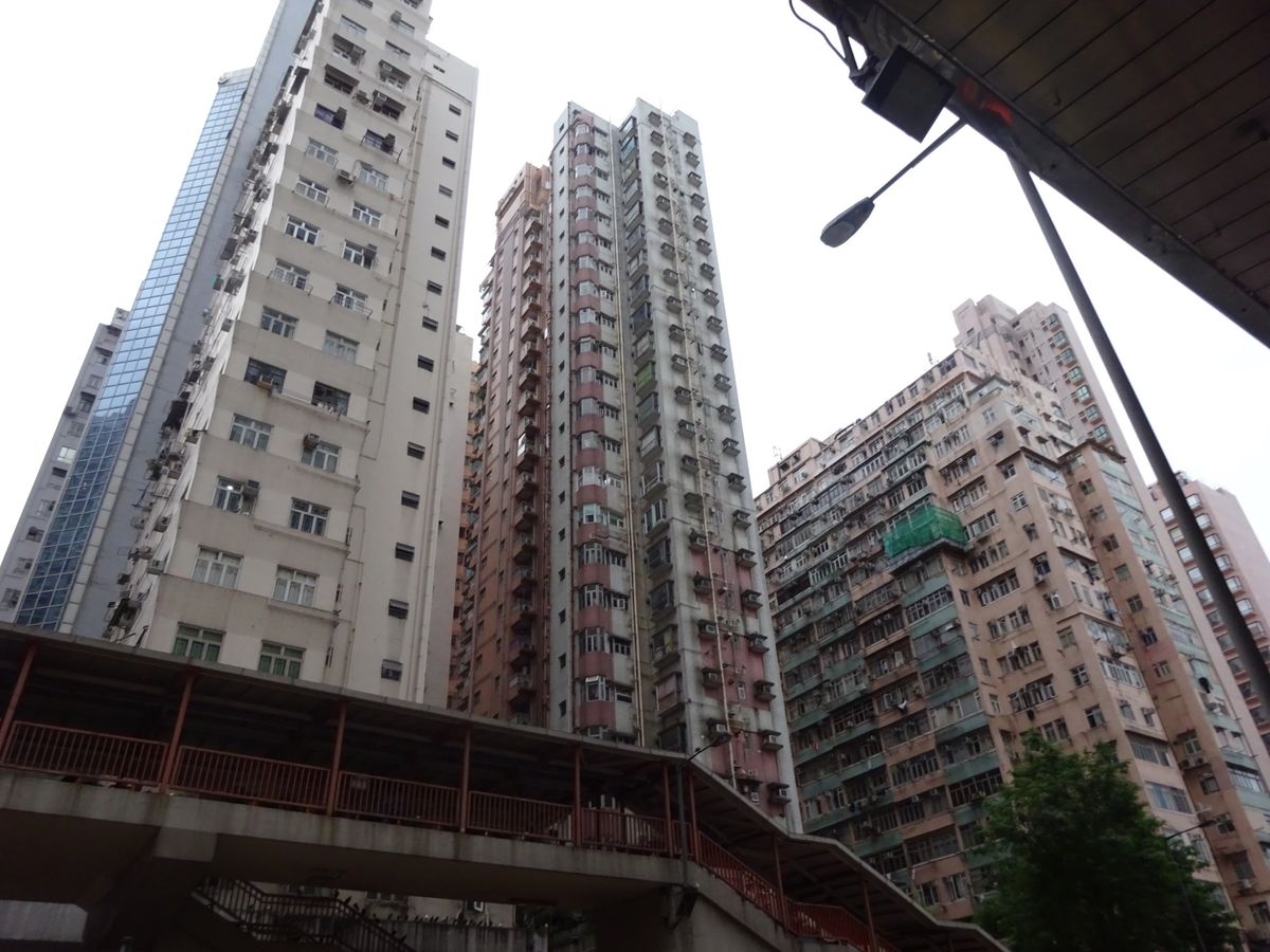 湿度は何と98%！
とっても暑かったです。
