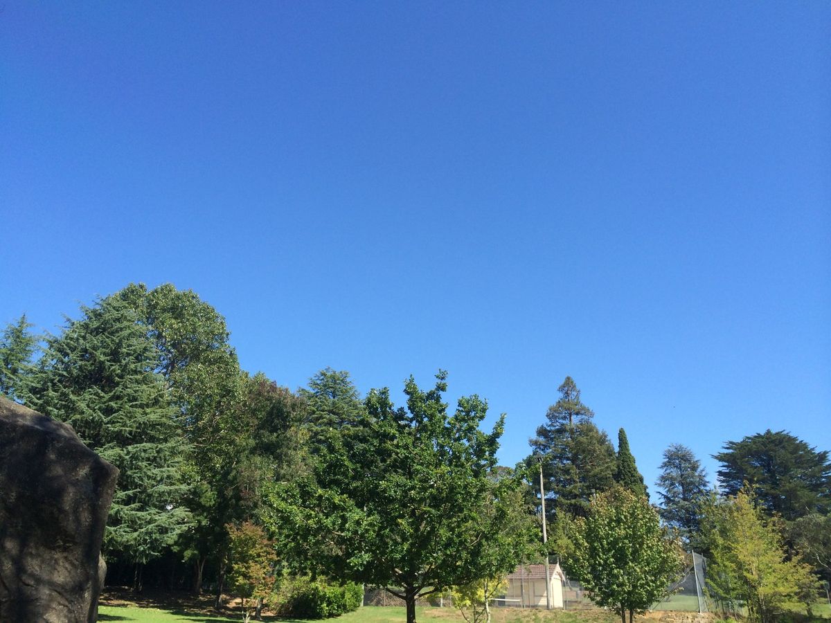 どこまでもありがたいんですが、シドニー空港からバスでバサーストまで向かうん...