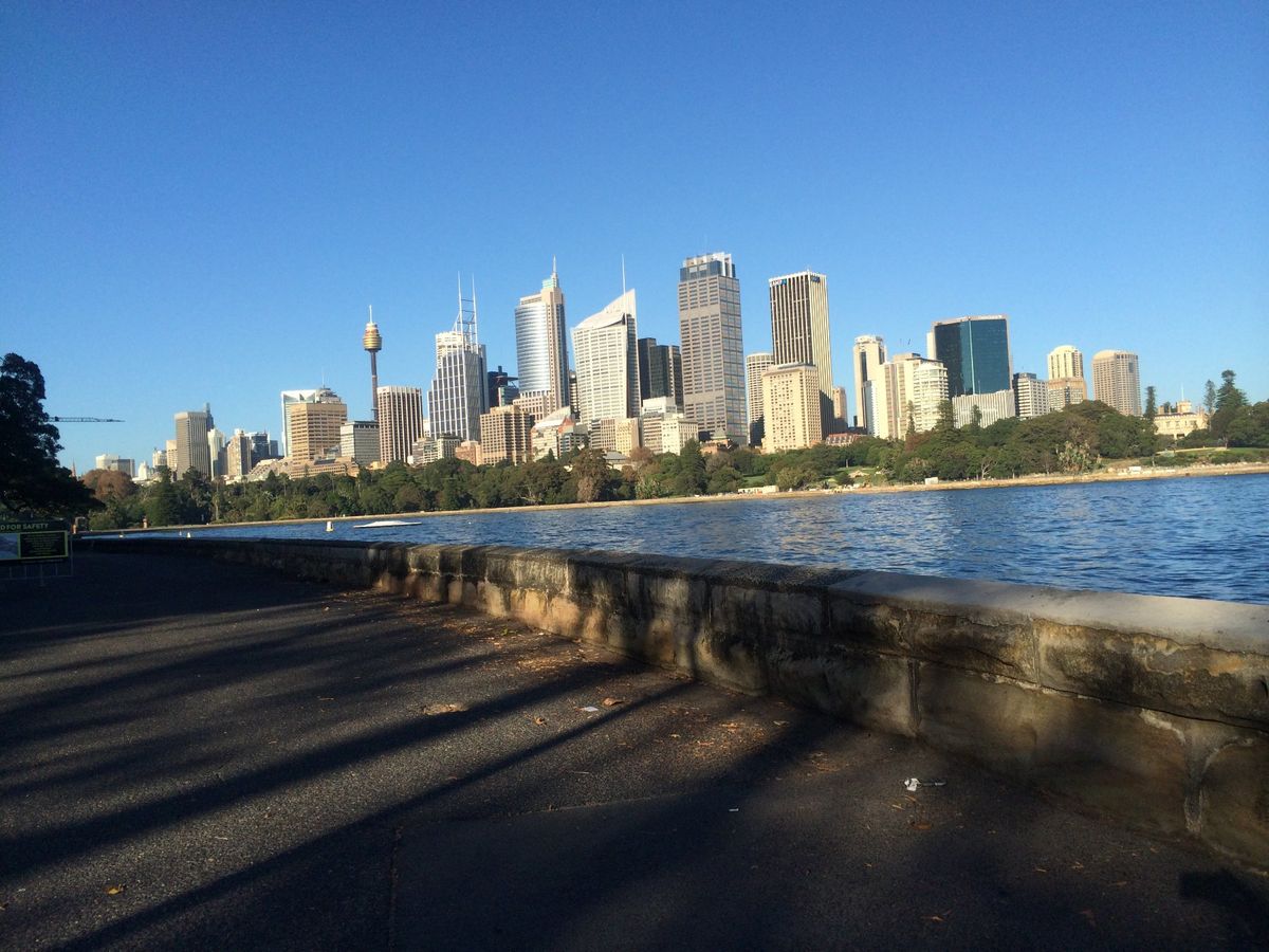 5日目、最終日は再びシドニー市内観光です🔥
ホテルからバスに乗って（これじ...