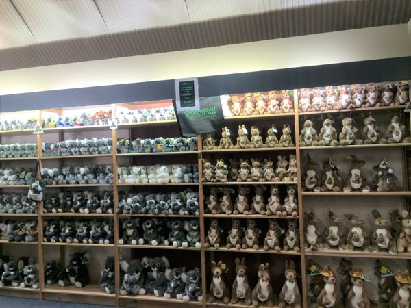 オーストラリア連邦・シドニー「オーストラリア・シドニー/Sydney NSW Australia」の写真：お土産コーナーが想像以上に豪華で楽しかっ...