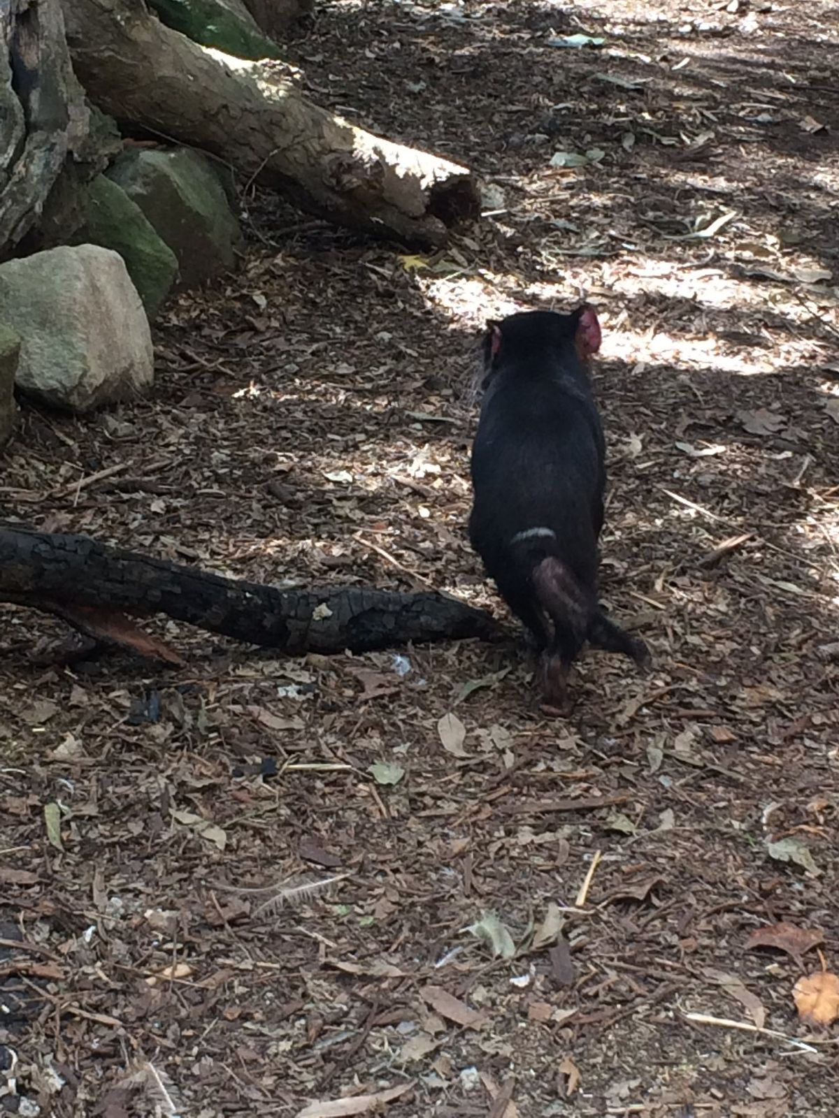 お土産コーナーが想像以上に豪華で楽しかった😳
確かここで買ったキャップを今...