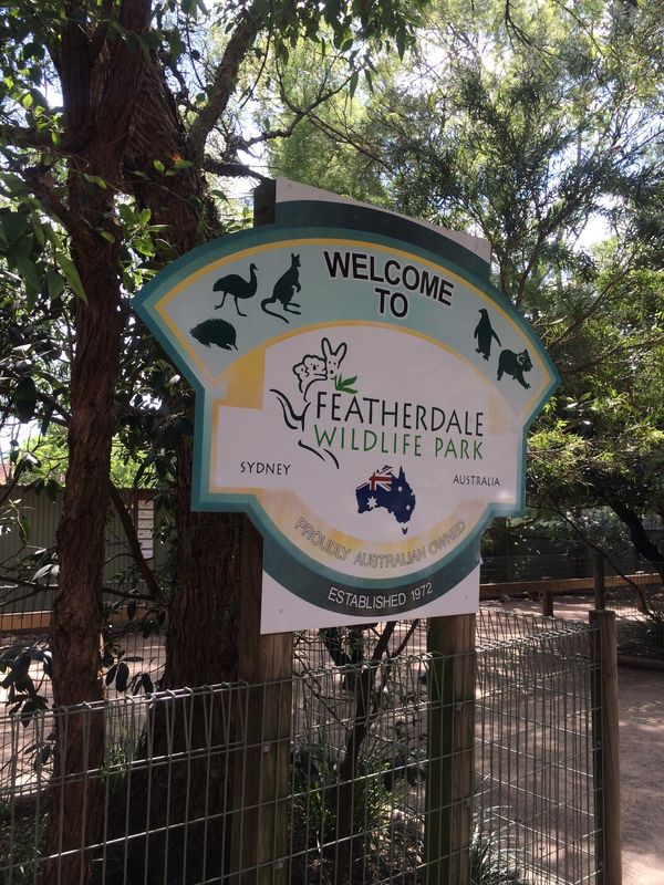 オーストラリア連邦・シドニー「オーストラリア・シドニー/Sydney NSW Australia」の写真：午後はバスでフェザーデールワイルドパーク...