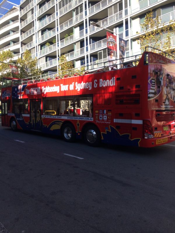 オーストラリア連邦・シドニー「オーストラリア・シドニー/Sydney NSW Australia」の写真：5日目、最終日は再びシドニー市内観光です...