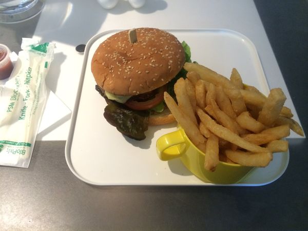 オーストラリア連邦・シドニー「オーストラリア・シドニー/Sydney NSW Australia」の写真：お昼はハンバーガーでした🍔
パンに肉を挟...