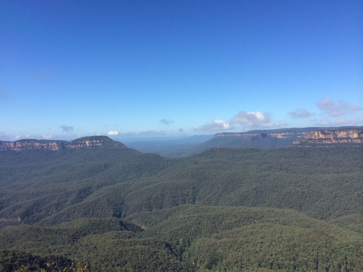 4日目はブルーマウンテンズからスタート！
エコーポイントやスリーシスターズ...