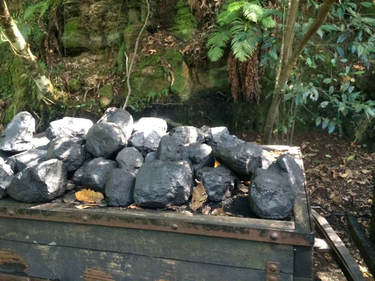 レールウェイから降りた後は、炭鉱跡地であった歴史を
学びながらお散歩👟
大...